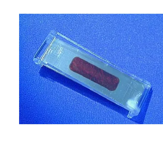Amcor Tosi Monitor de Limpeza